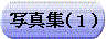 ʐ^WiPjփN